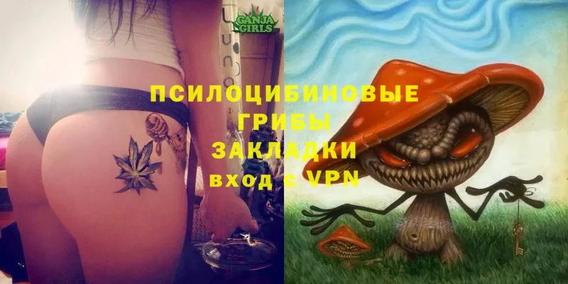 Псилоцибиновые грибы MAGIC MUSHROOMS  Енисейск 